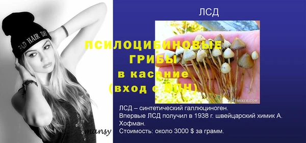 круглые Белокуриха