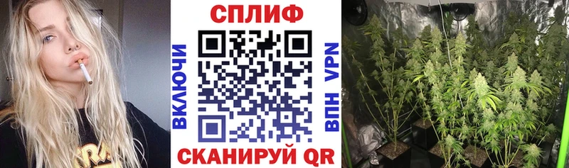 Купить закладки  Вятские Поляны  Марихуана сатива 